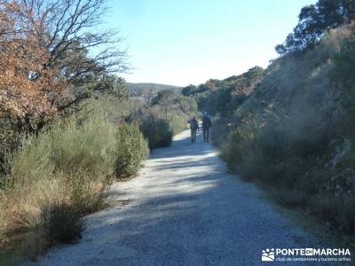 Senderismo social y Comida de Navidad;rutas por euskadi sendero gr 11 botas para senderismo